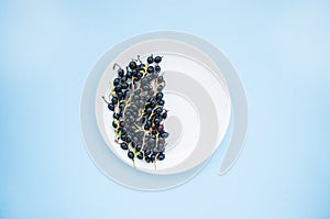 Blackberries on a white plate