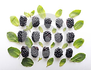 fresh blackberries and leafs of mint on a white background