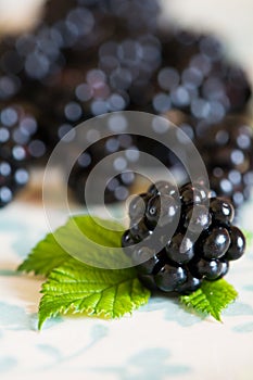 Fresh blackberries macro