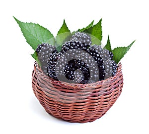 Fresh blackberries in small basket