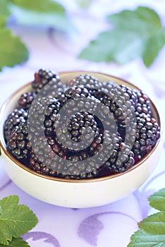 Fresh blackberry