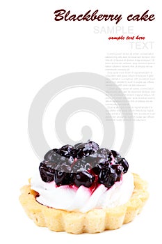 Fresh Blackberry Cake