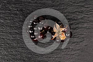 Fresh blackberry on grey stone