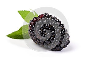 Fresh Blackberry on White Background