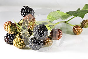 Fresh blackberry's with green leaf on white background