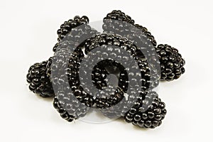 Fresh blackberry's on white background