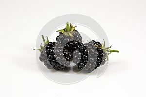 Fresh blackberry's on white background