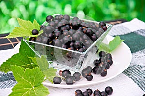 Fresh blackcurrant