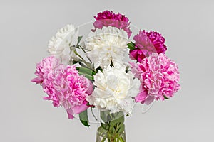 Fresh blooming bouquet of pink and white peonies in a vase on light gray background