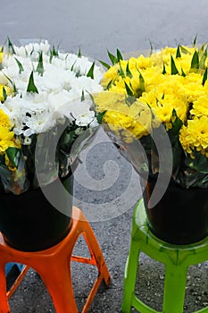 Fresh blossoming carnations display on a sidewalk