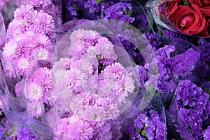 Fresh blossoming flowers display at a daily market