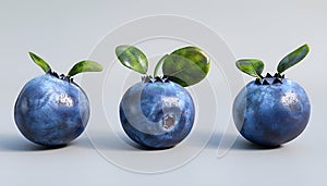 fresh blubbery with leaves on grey background