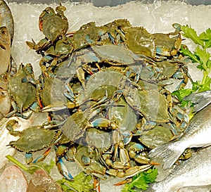 fresh blue crabs on the counter full of ice for sale in the fishmongers