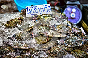 Fresh blue crabs are sold at Ban Chong Samaesan Seafood Market photo