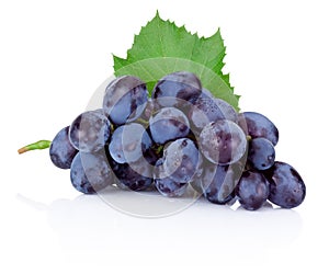 Fresh blue grapes with green leaf on white background