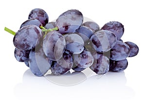Fresh blue grapes isolated on white background
