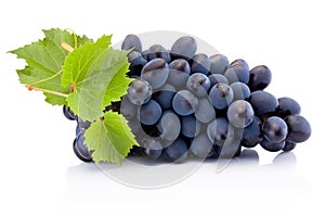 Fresh of blue grapes with leaves isolated on white background