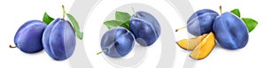 Fresh blue plum with leaves isolated on white background. Set or collection