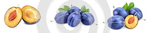 Fresh blue plum with leaves isolated on white background. Set or collection