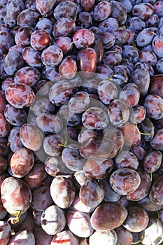 fresh blue plums texture