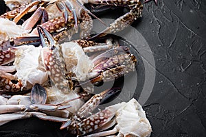 Fresh blue swimming crab Horse crab, Blue crab, Flower crab claws, on black background  , with copyspace  and space for text