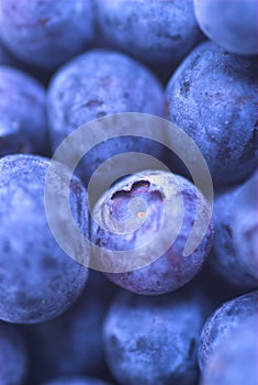 Fresh Blueberries