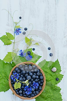 Fresh blueberries in basket with leaves pattern top view. Healthy food on white table mockup. Delicious, sweet, juicy