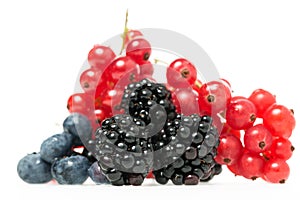Fresh blueberries, blackberries and redcurrants photo