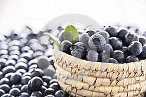 Fresh blueberries on bowl