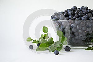 Fresh Blueberries in a bowl on white background.