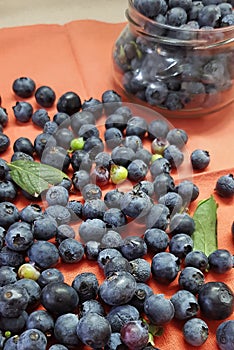 Fresh blueberries for eating. Juicy blue berries are in the glass jug. Heap of them are scattered on the rustic canvas