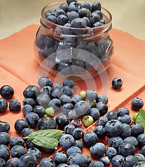 Fresh blueberries for eating. Juicy blue berries are in the glass jug. Heap of them are scattered on the rustic canvas