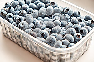 Fresh blueberries from the forest in a plastic container on a white background. Side view