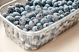 Fresh blueberries from the forest in a plastic container on a white background. Side view