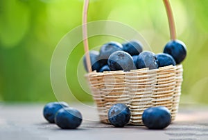 Fresh blueberries fruit in basket on wooden with nature green blur background