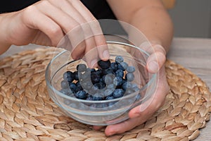 Fresh Blueberries in a Glass Bowl in Female Hands. Picking ripe blueberries from a glass bowl