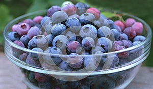 Fresh blueberries in glass bowl outdoors