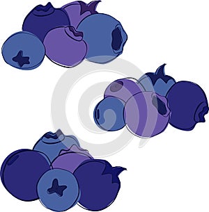 Fresh blueberries graphic line set. Blue bilberries in composition of five berries set. Ripe bog whortleberries, hurtleberries photo