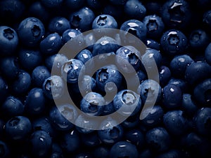 Fresh blueberries harvest with waterdrops. AI Generated Image