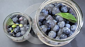 Fresh blueberries. Juicy blue berries are in the glass jug on the table. Bilberry is antioxidant and healthy nutrition
