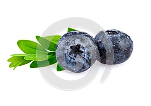 Fresh blueberries with leaf in closeup