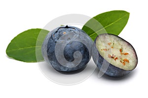 Fresh blueberries with leaves isolated on white