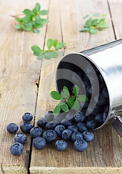 Fresh blueberries are pouring out of an alluminium mug
