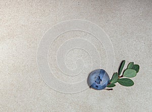 Fresh blueberries prepared for food against the craft paper background