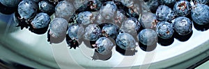 Fresh blueberries on reflective surface displaying natural texture and color