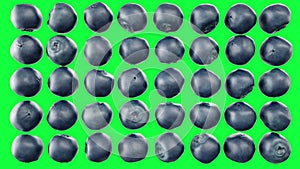 Fresh blueberries rotate on green screen. Fruits background.