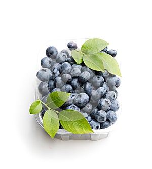 Fresh blueberries in small plastic container isolated on white