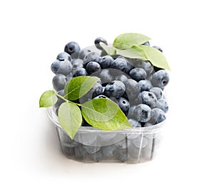 Fresh blueberries in small plastic container isolated on white