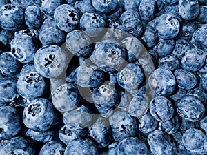 Fresh blueberries for snack or dessert that is a health food and nutritious and full of vitamins and antioxidants, blue berry frui