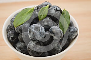 fresh blueberries in white bowl/fresh blueberries in white bowl. Close up